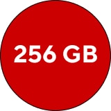 256 GB